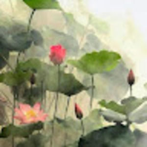 Meet your Posher, Alyce